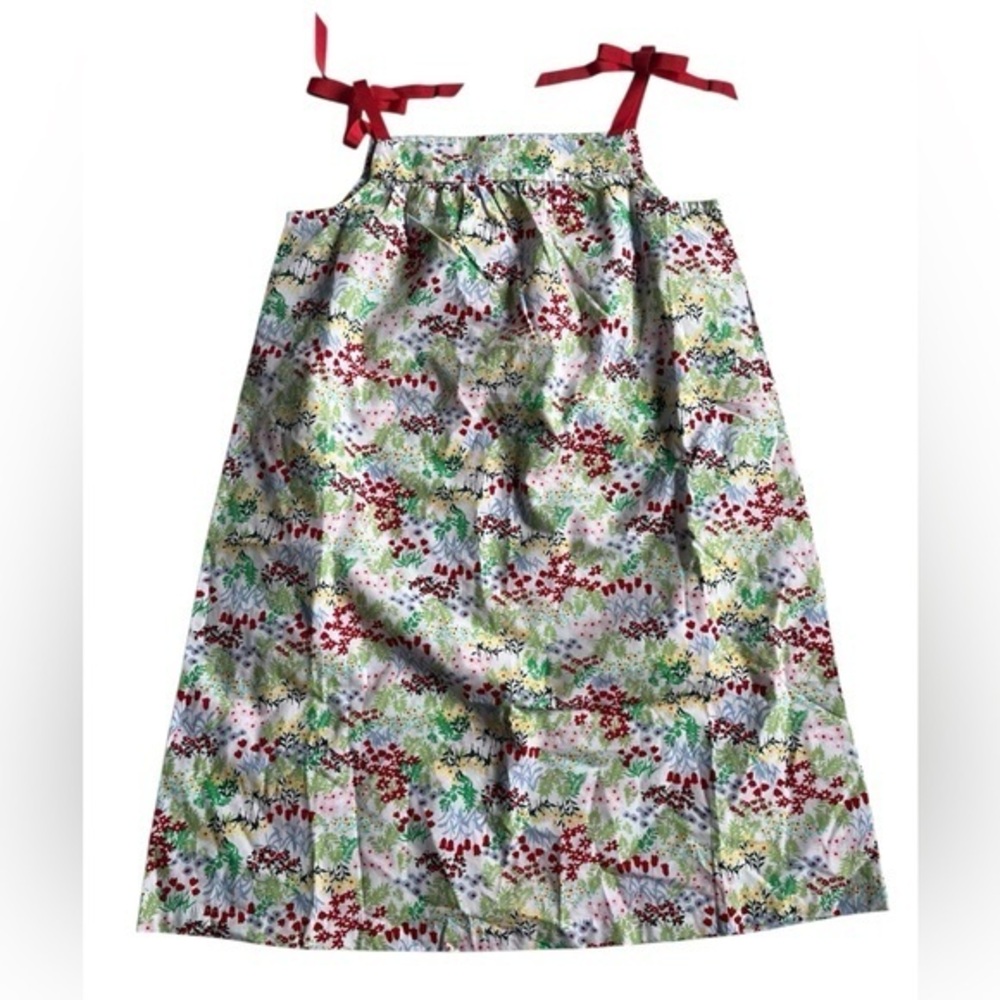 NWT Hanna Andersson Floral Kids Dress with Red Accents